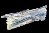 Vibrant Blue Kyanite Crystals in Quartz - Brazil #95585-1
